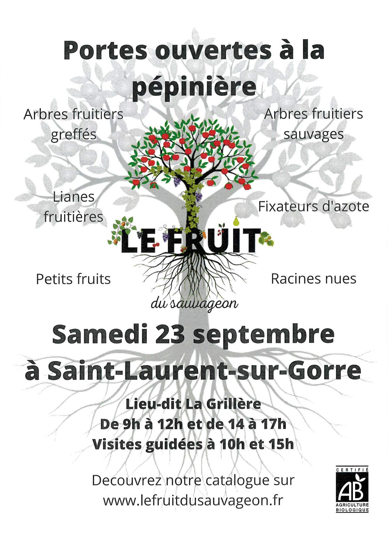 Description de l'image