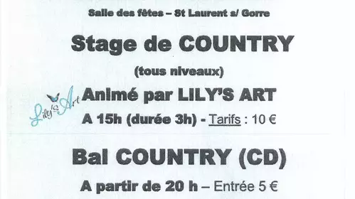 Mouv'Danse 87 Stage de country - Bal country
