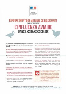 L'influenza aviaire