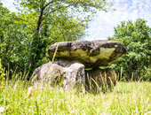 Le Dolmen de la Côte